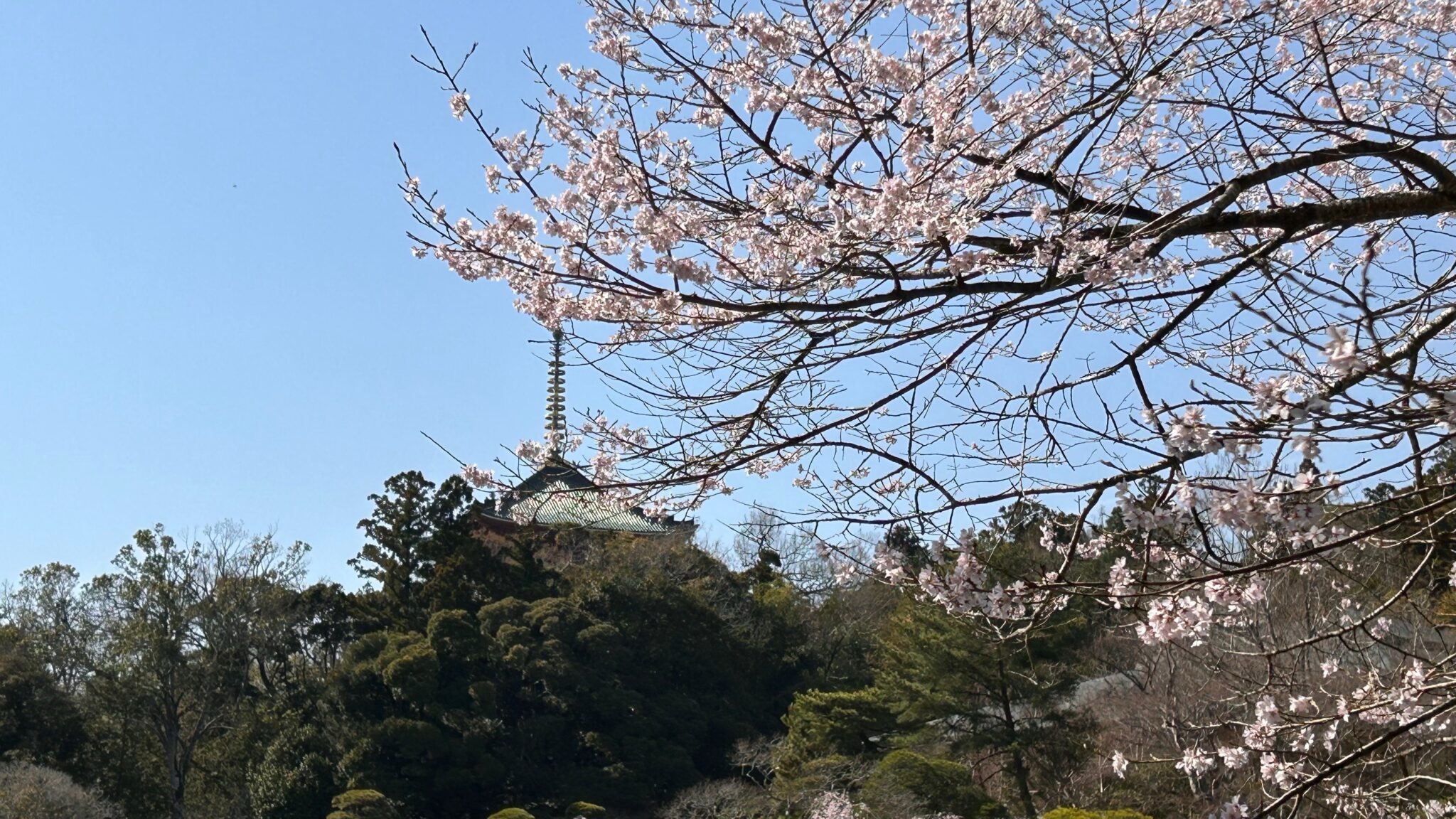 成田山新勝寺