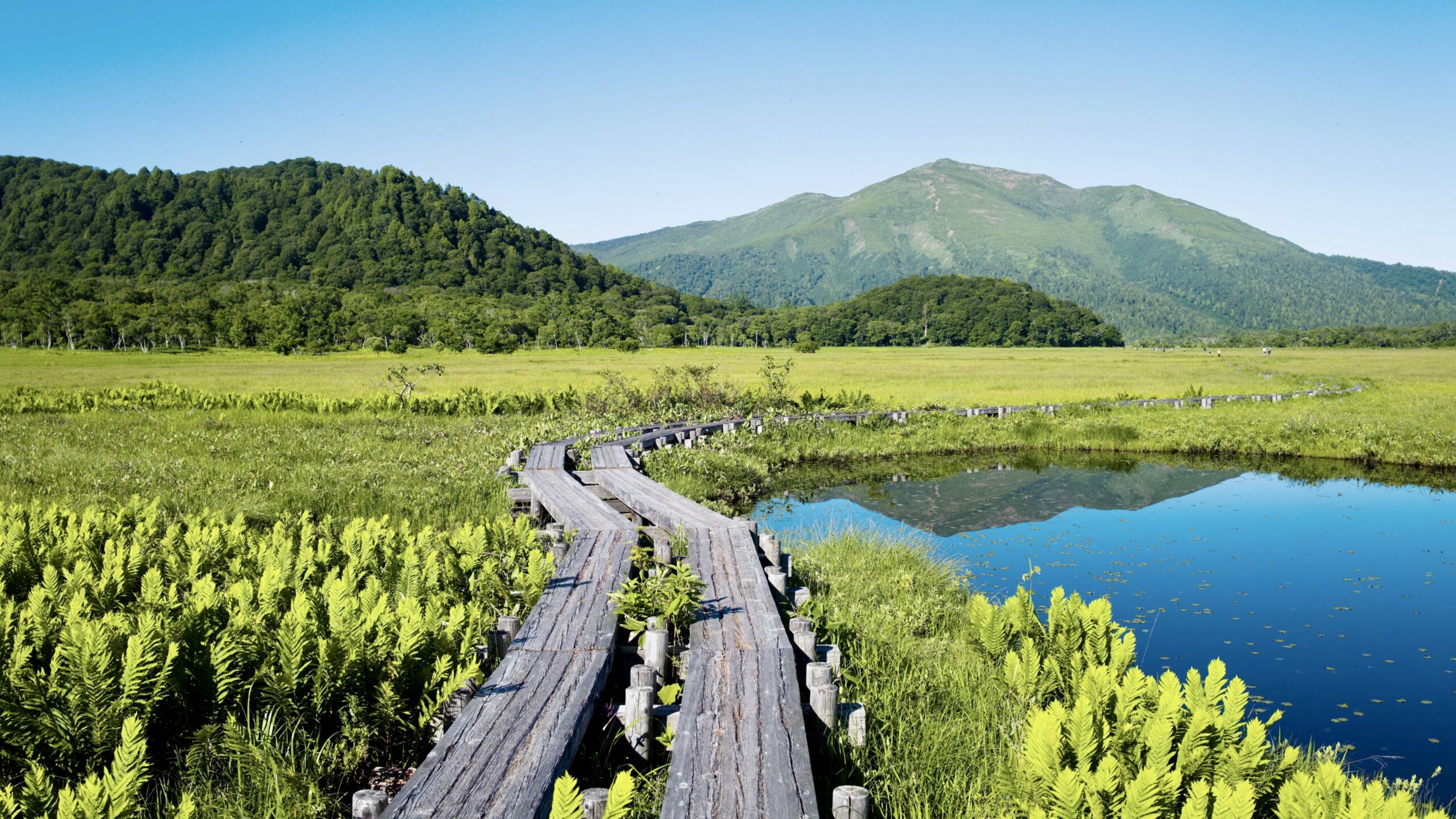 尾瀬沼の風景