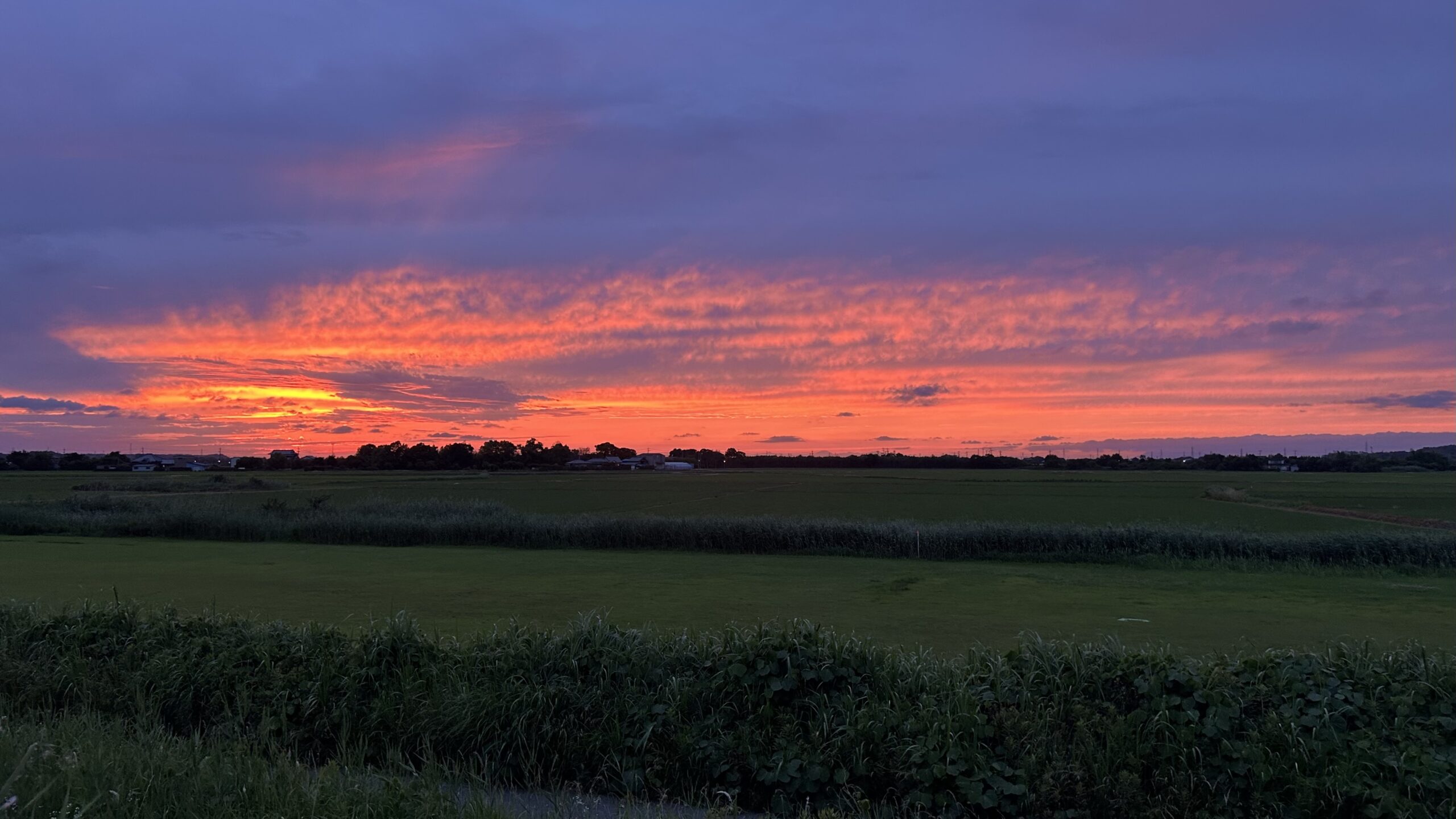 印旛沼サイクリングロードからの眺め、夕焼け