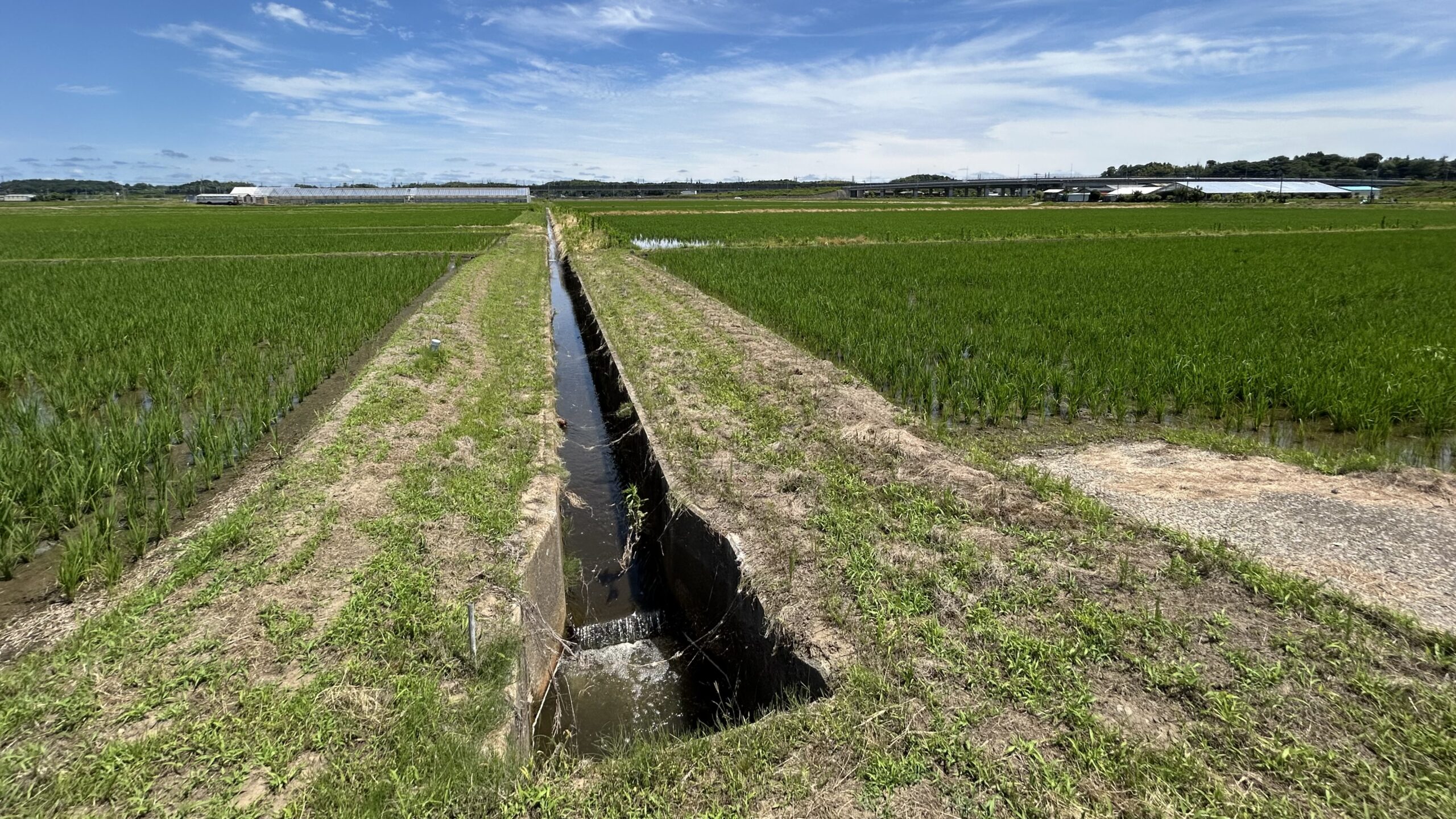 北印旛沼の灌漑システム