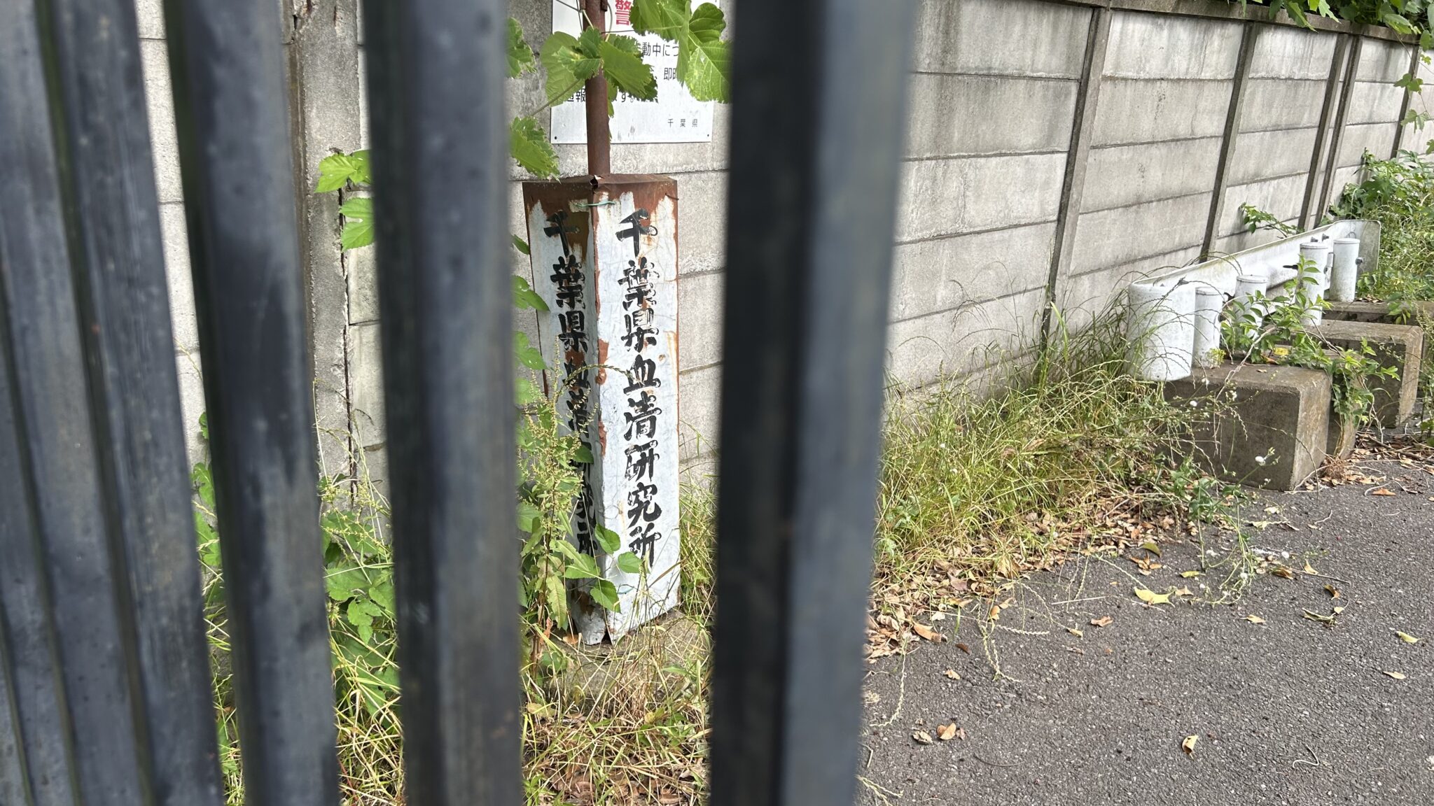 千葉県血清研究所跡地。現在は立ち入り禁止。