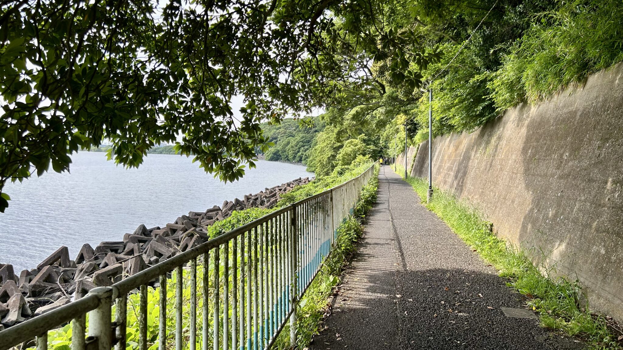 野手溢れる江戸川沿いの散策路、最高の癒しスポット