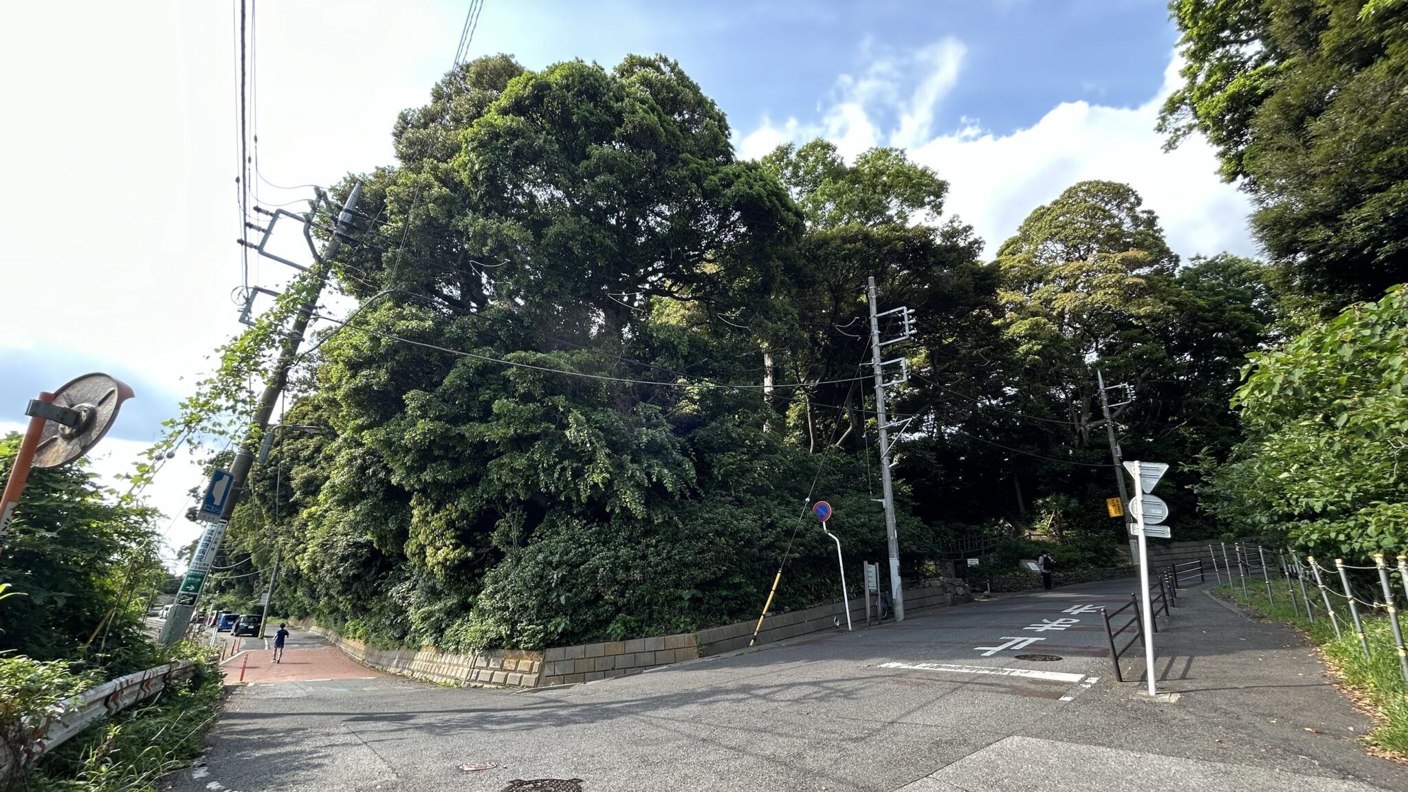 里見公園に到着、小高いであることがわかる