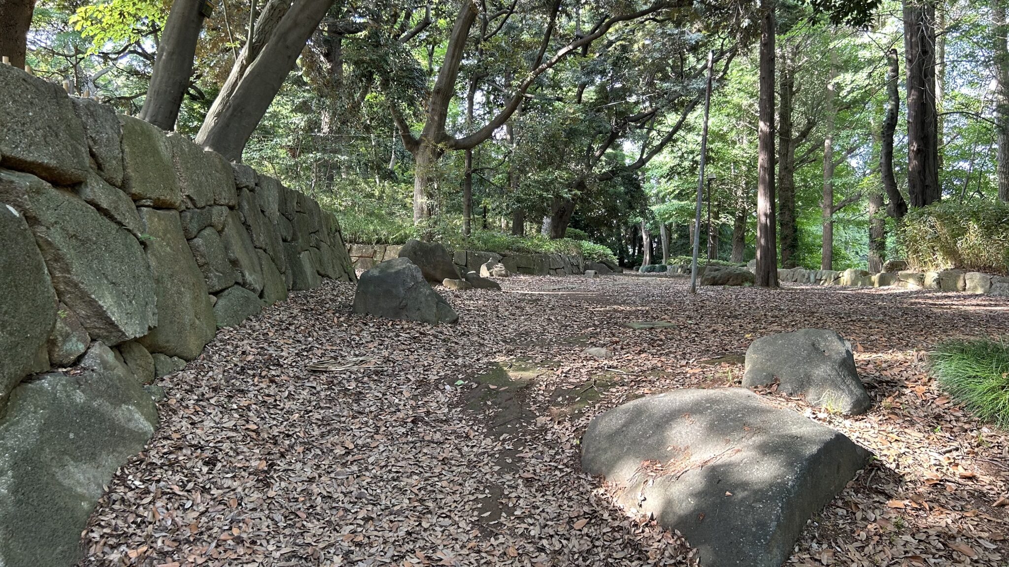 里見公園の国府台城跡エリア、石垣