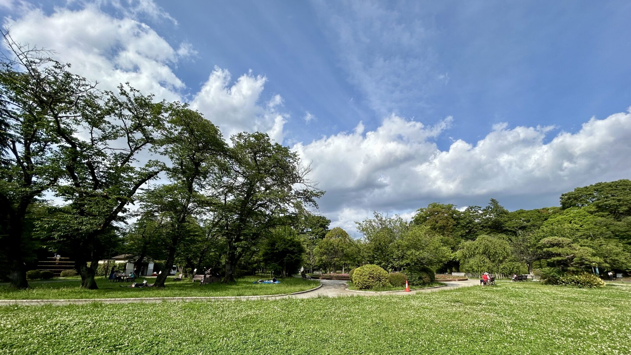 里見公園の広々とした芝生