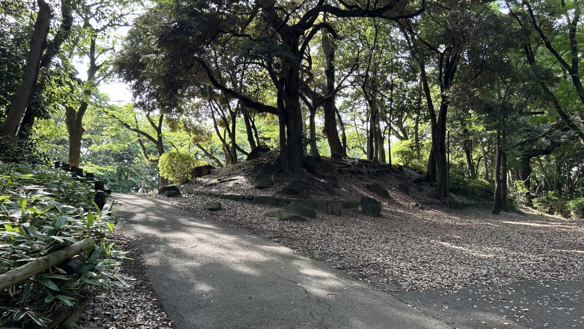 里見公園の国府台城跡エリア、土塁