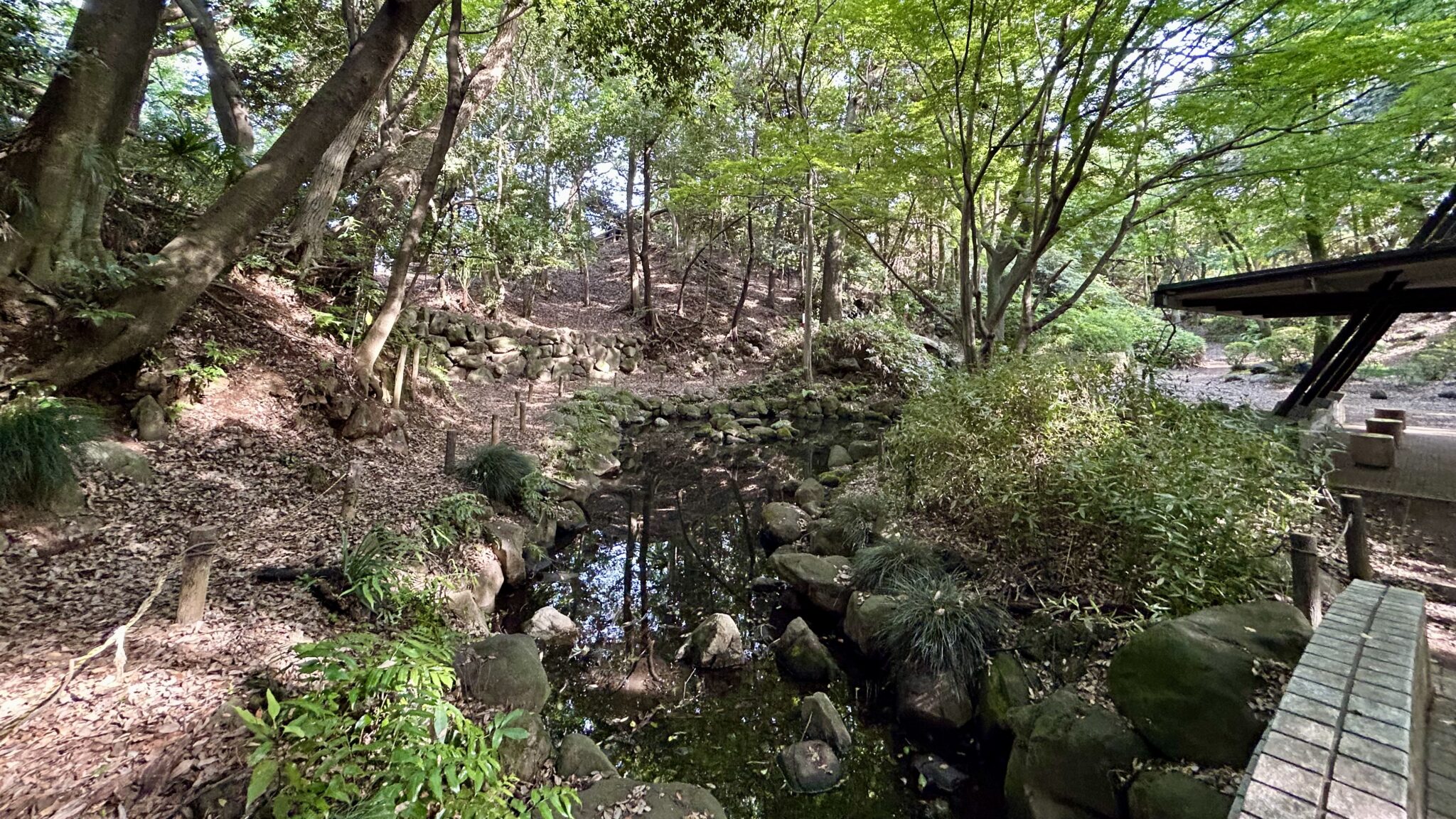 里見公園の国府台城跡エリア、土塁