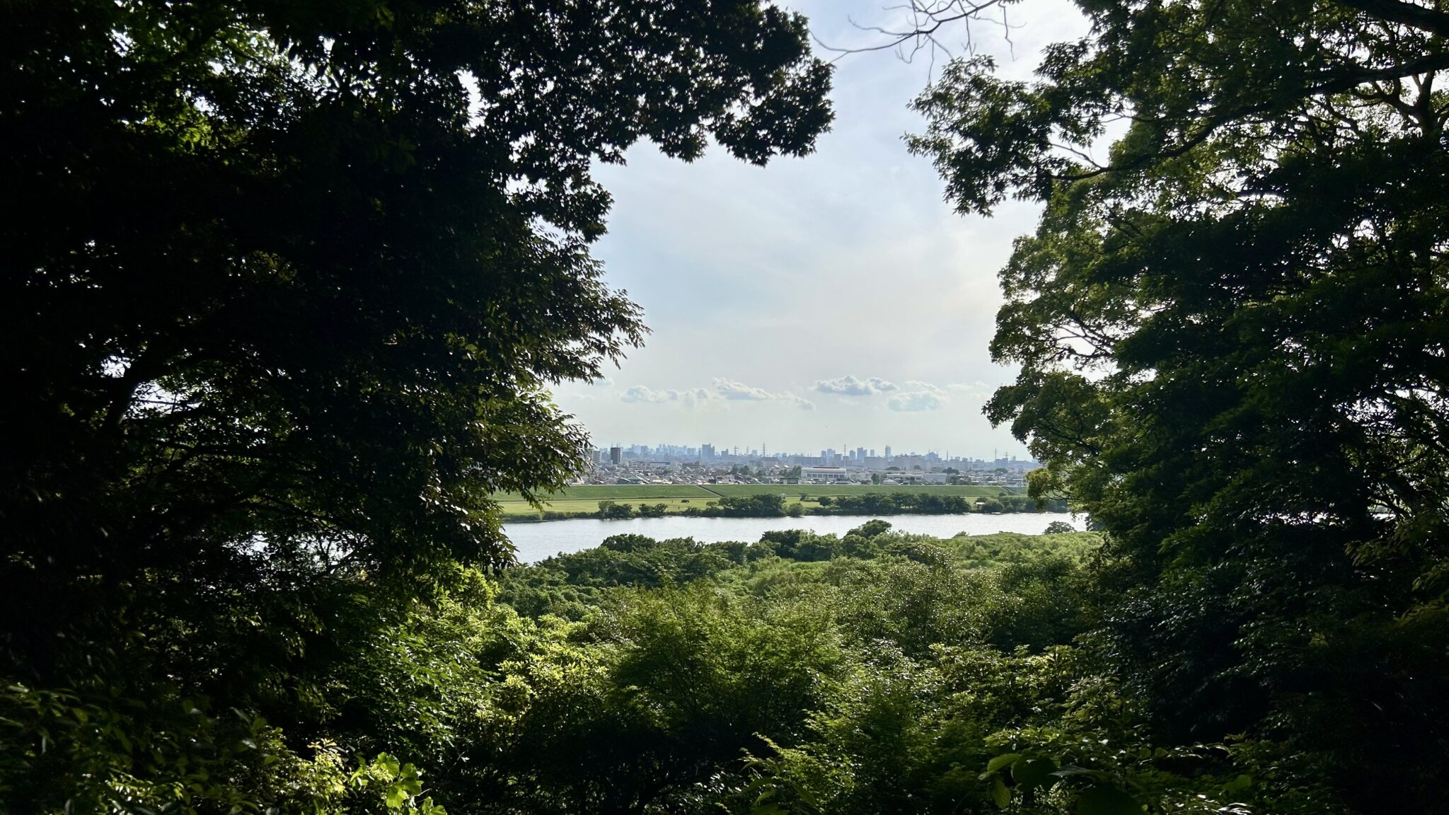 国府台城から江戸川を見下ろした風景