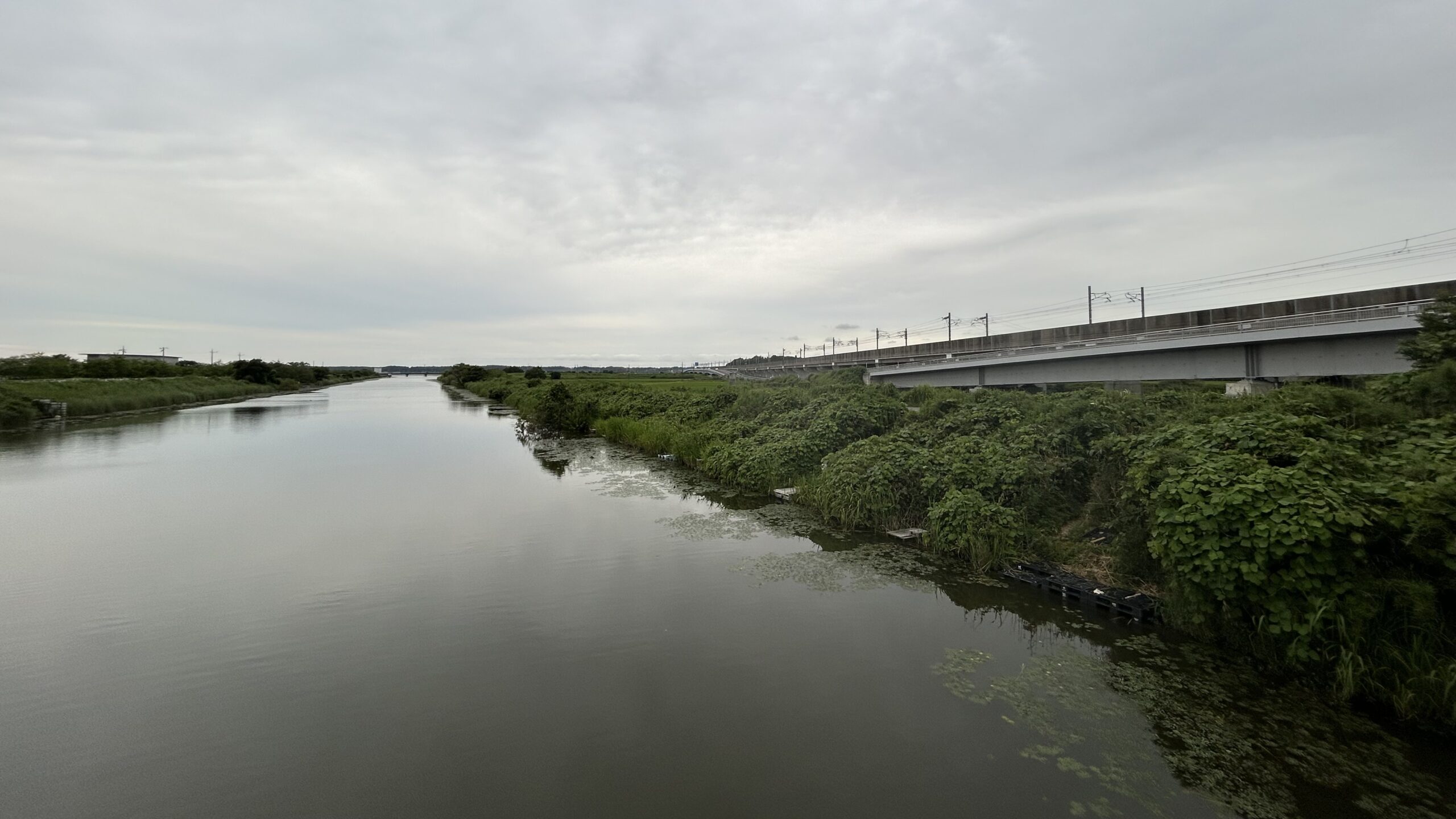 京成線のガードをくぐり、東橋場から北印旛沼方面を見る