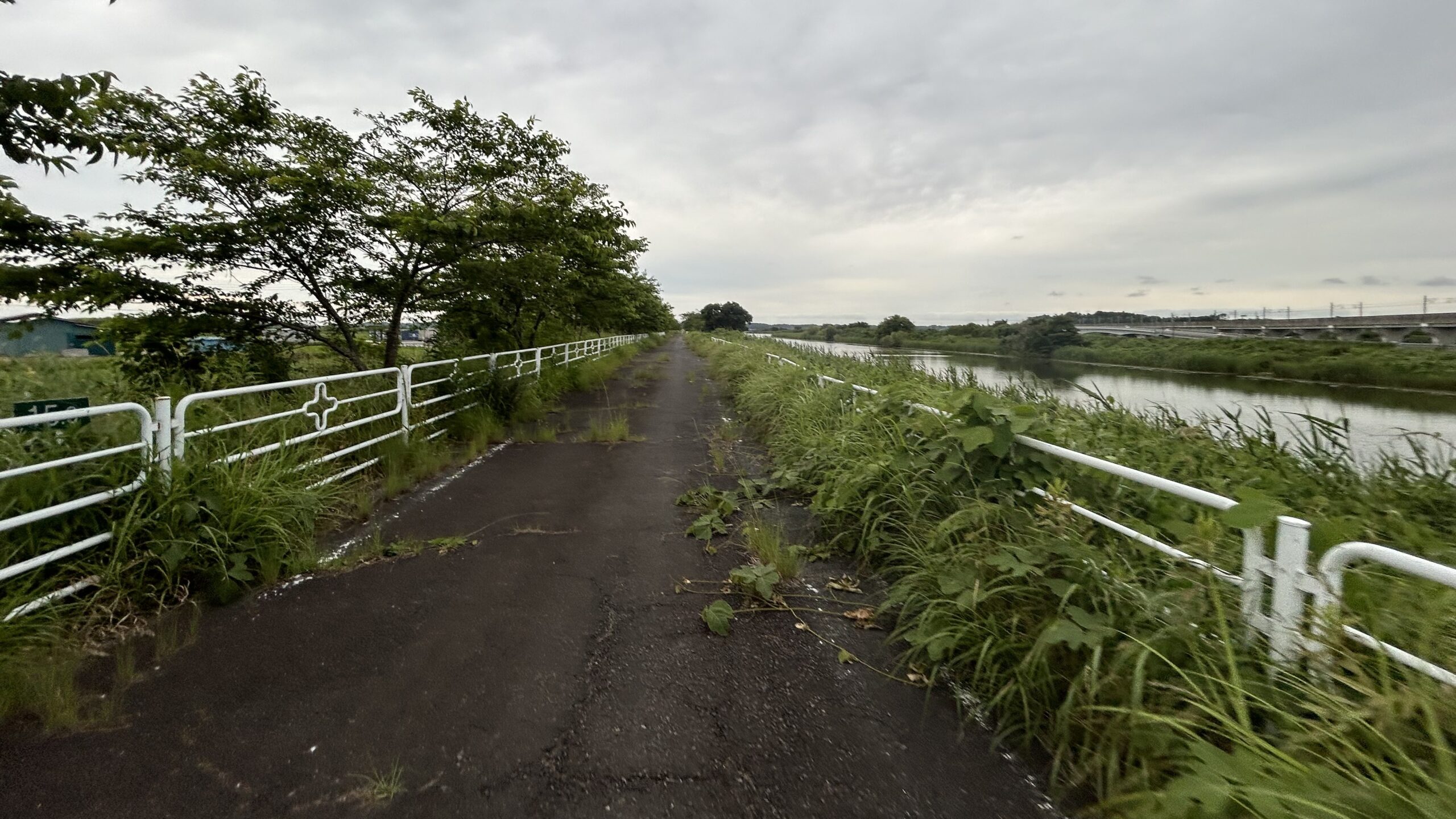 印旛沼サイクリングロード