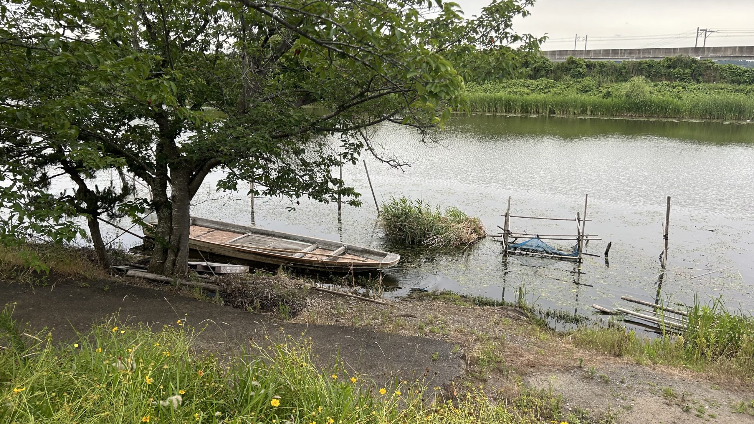 印旛沼サイクリングロードからの眺め