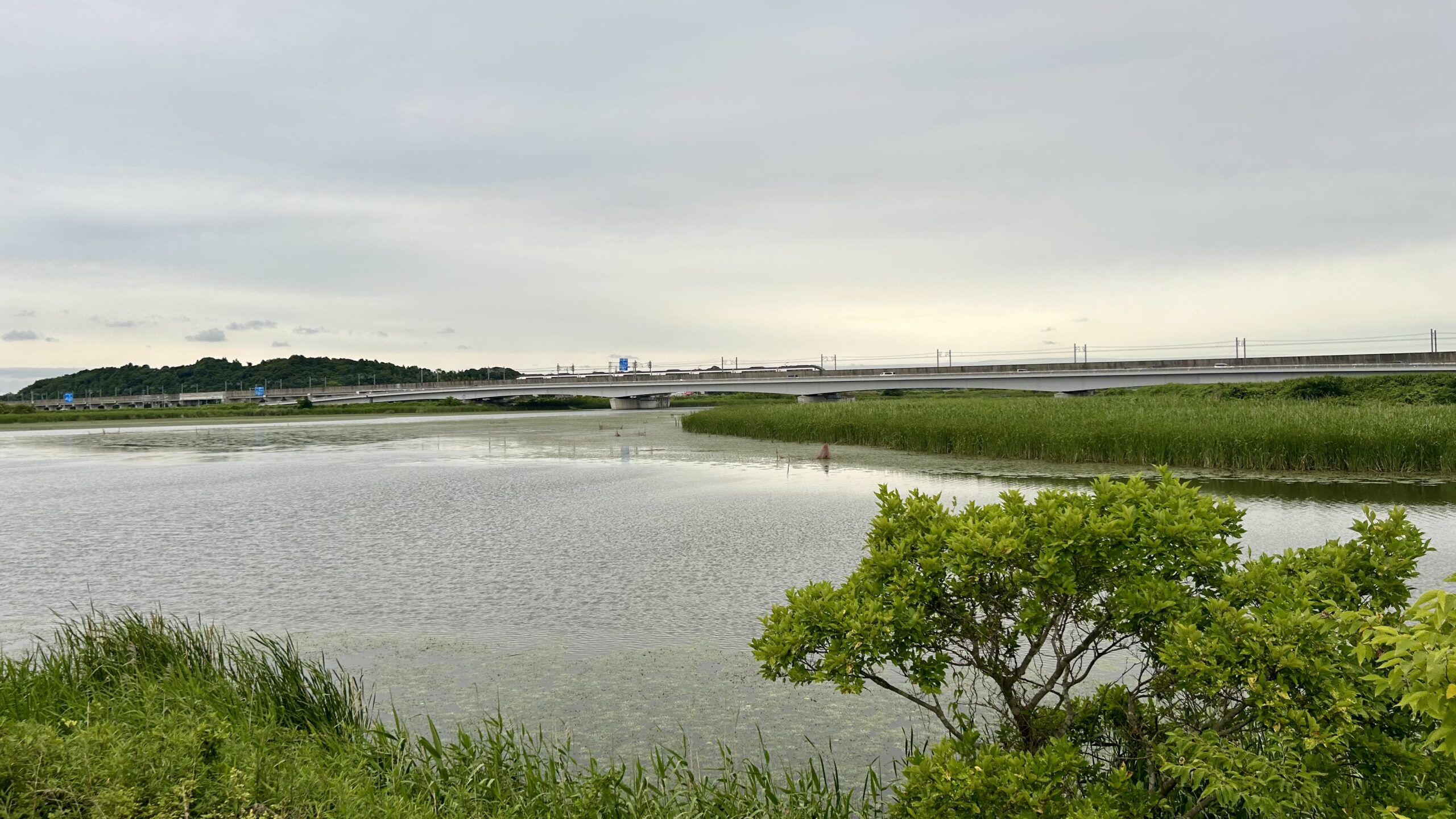 印旛沼サイクリングロードからの眺め、北印旛沼