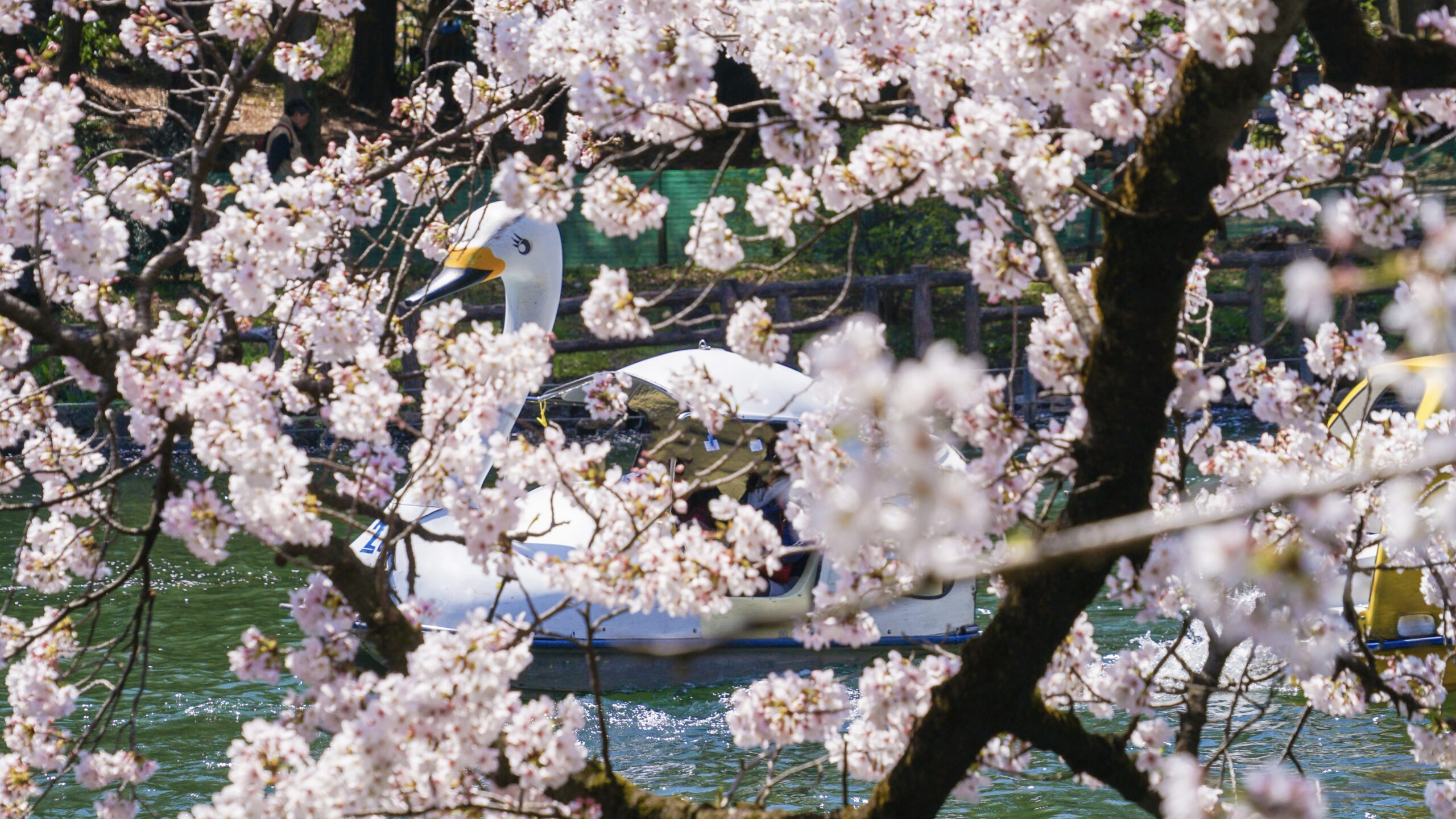 井の頭恩賜公園