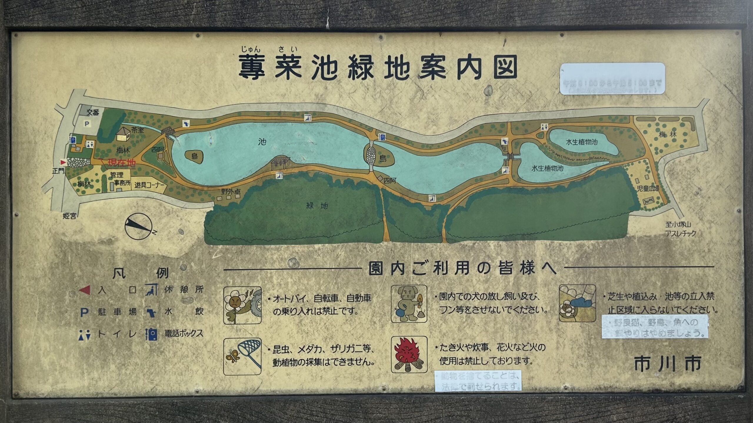 じゅんさい池公園の園内図