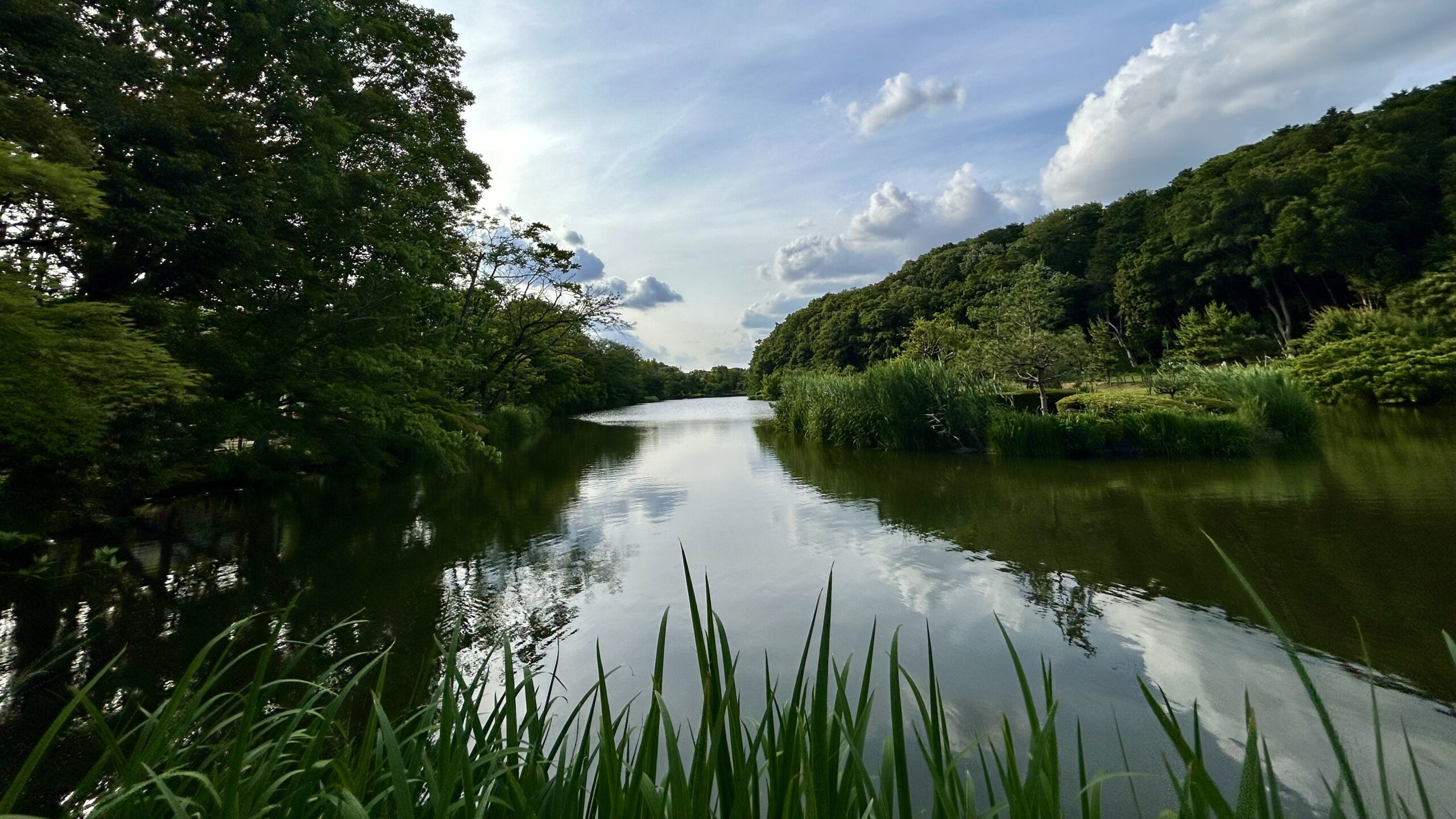 じゅんさい池公園の美しい池(旧国分沼)