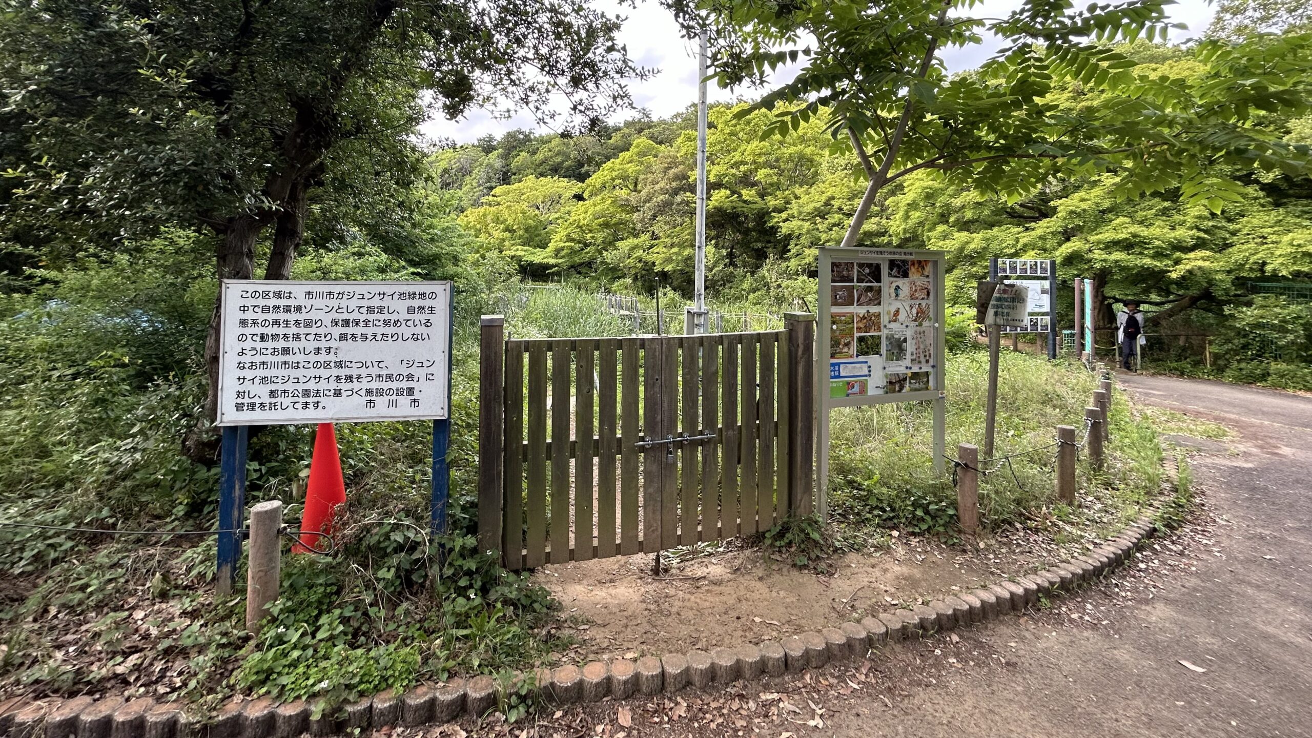 じゅんさい池公園の美しい池(旧国分沼)