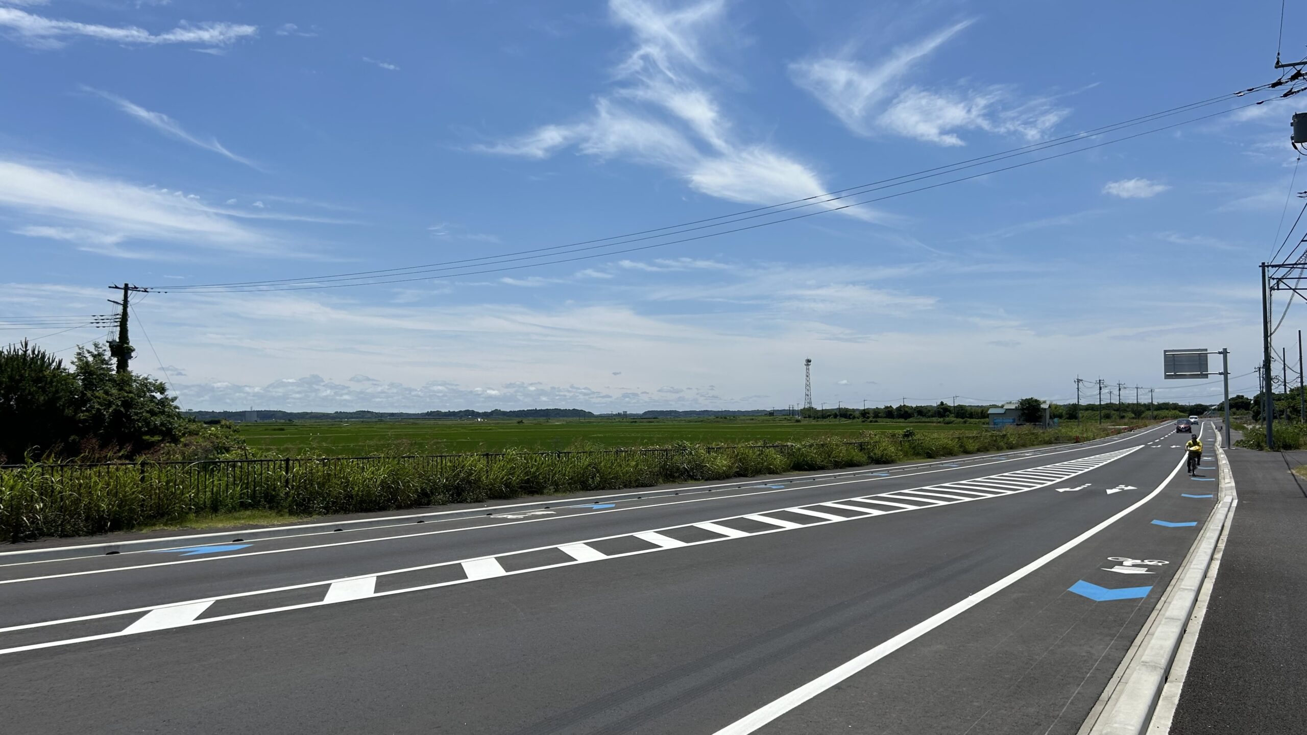 印旛沼方面へ水田地帯が広がる