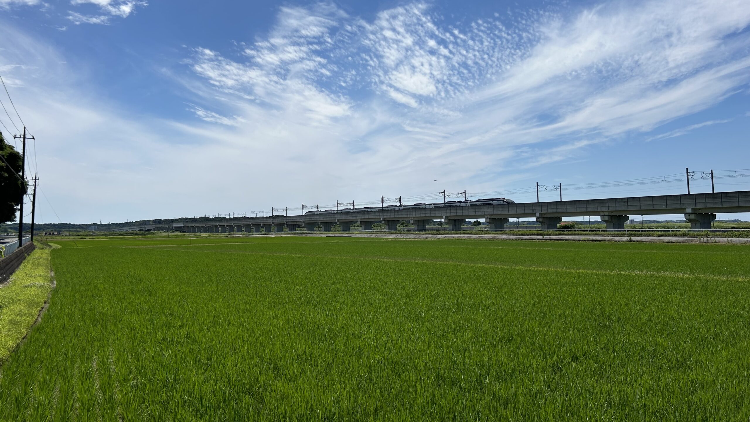 京成スカイライナーと水田地帯