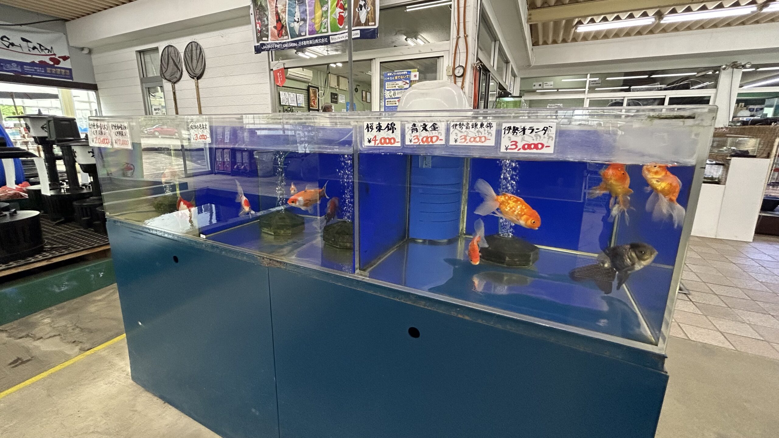 谷養魚場の魚販売エリア