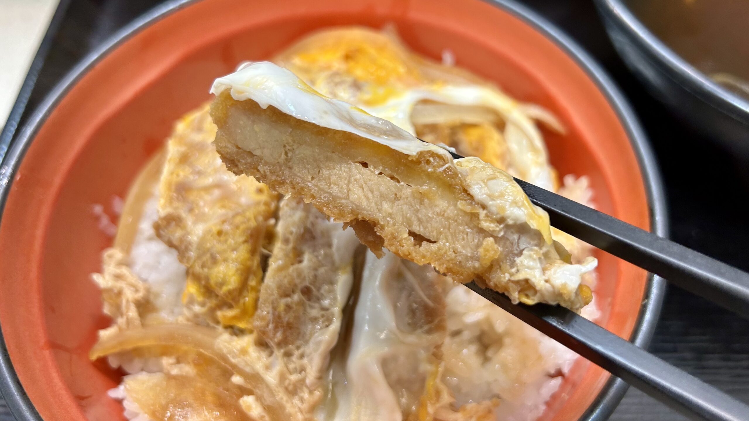 Filling Up with a Katsudon Set at Fuji Soba