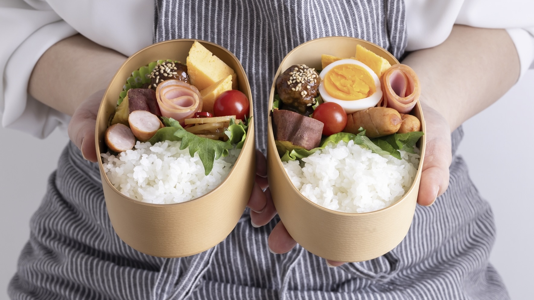 Japanese Bento Box：Types, Everyday Uses, and How to Get One